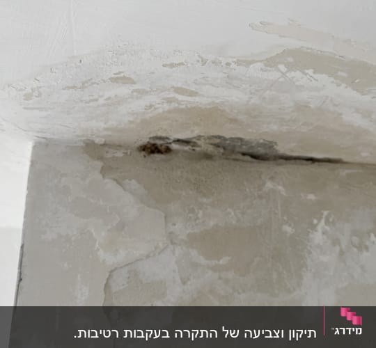קיר עם קילופי צבע ונזקי רטיבות